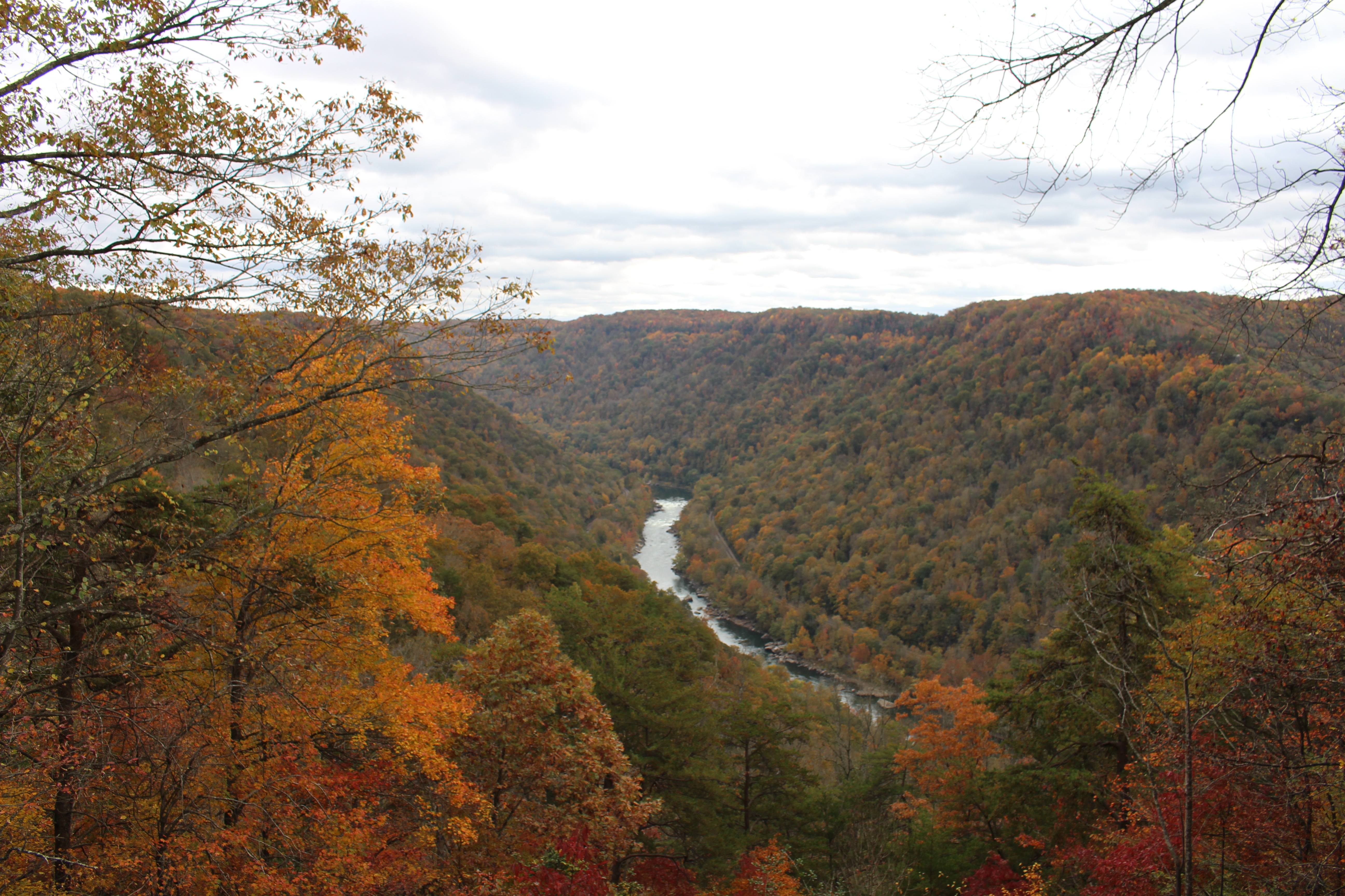 Photo- Background image of the New River Gorge - West Virginia U.S.A