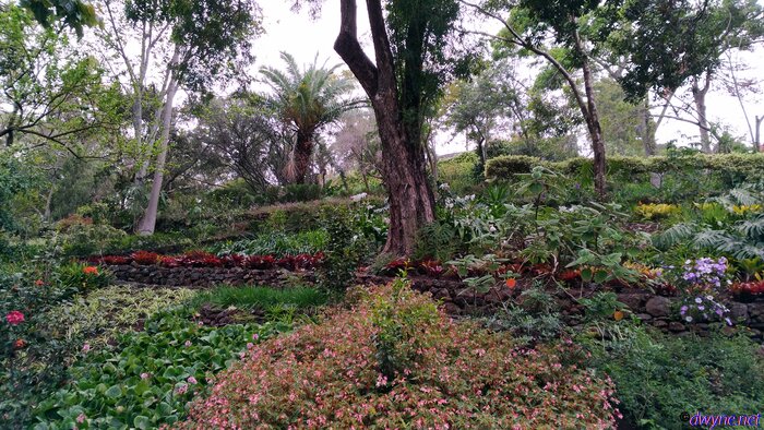 182 Jardim Botanico