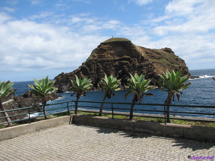 288-Madeira-2018