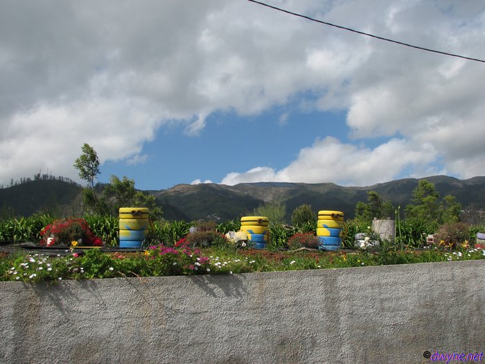 356-Madeira-2018